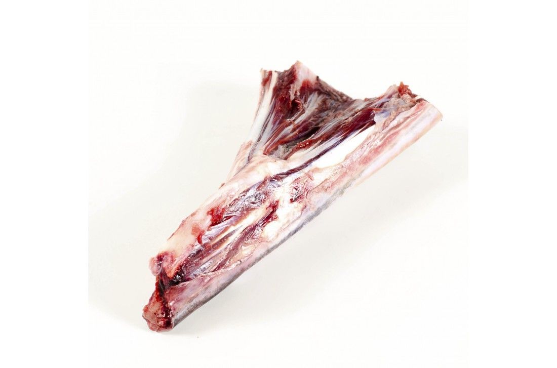 Galete de Atún Rojo salvaje