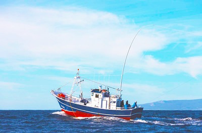 Vive la experiencia única del Pesca Turismo con JC Mackintosh en Tarifa