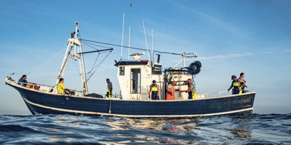 Nuestra misión: transformar la pesca del atún rojo salvaje en el Estrecho